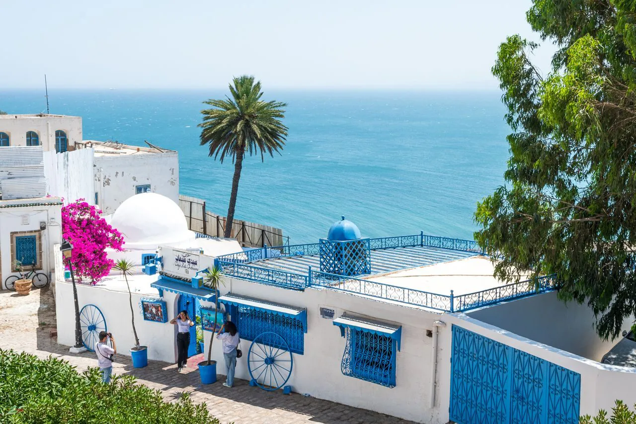 Blue and white houses of Sidi Bou Said above the Gulf of Tunis